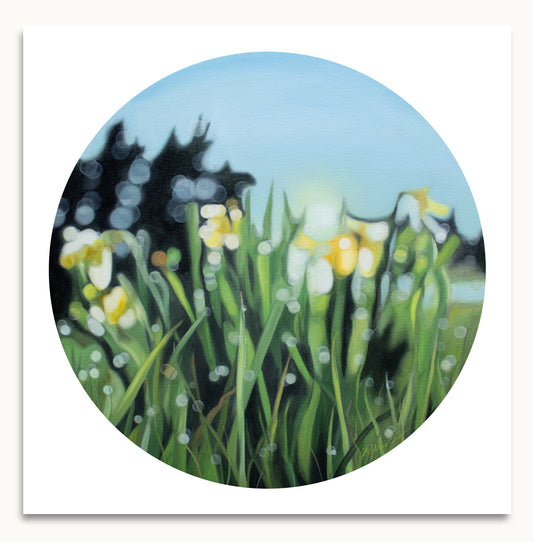 Blurry Daffodils - fine art print