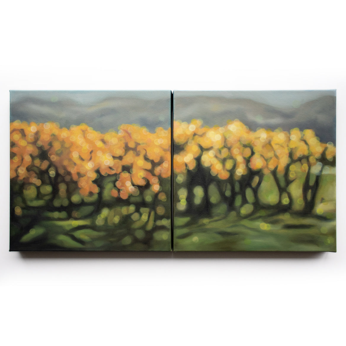 Autumnal vineyard bokeh oil paintings