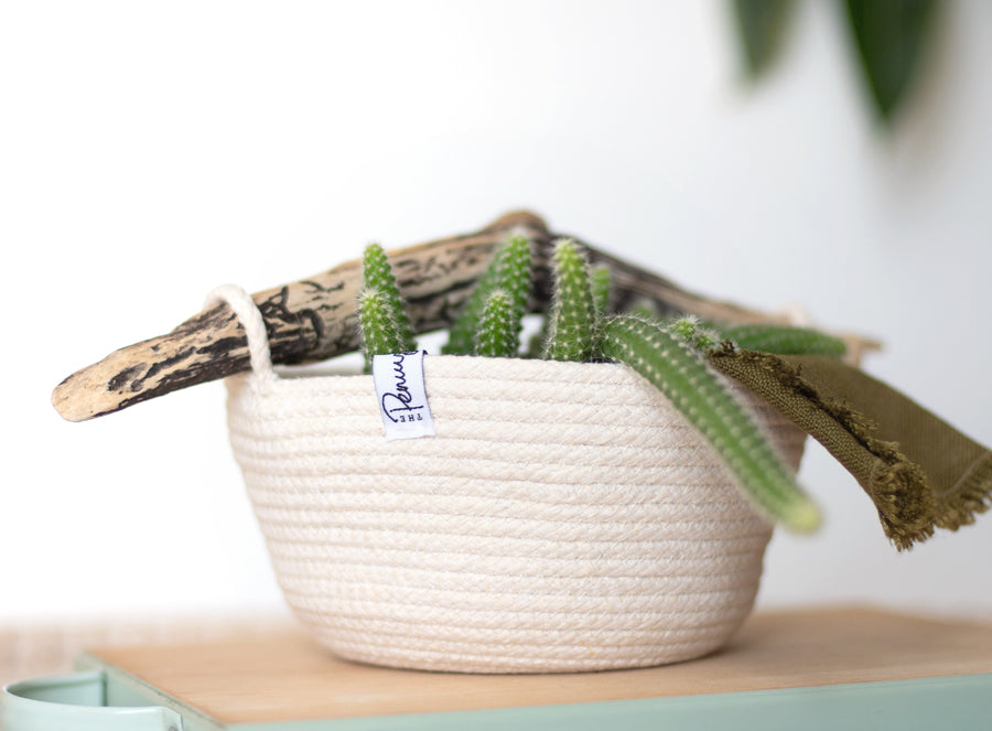Cotton rope caddy basket with driftwood handle