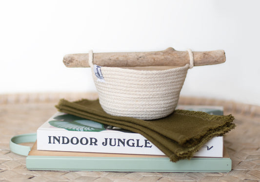 Caddy-style basket with driftwood handle