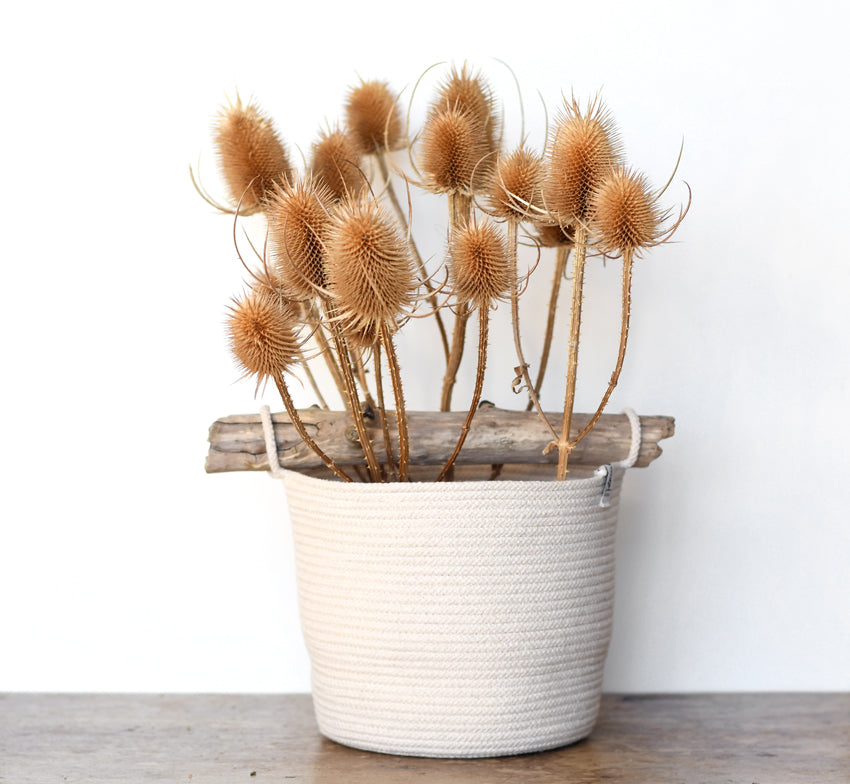 Tall rope basket with driftwood handle